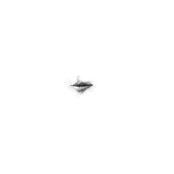 Pilot photo