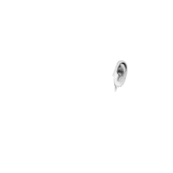 Pilot photo
