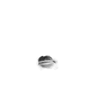 Pilot photo